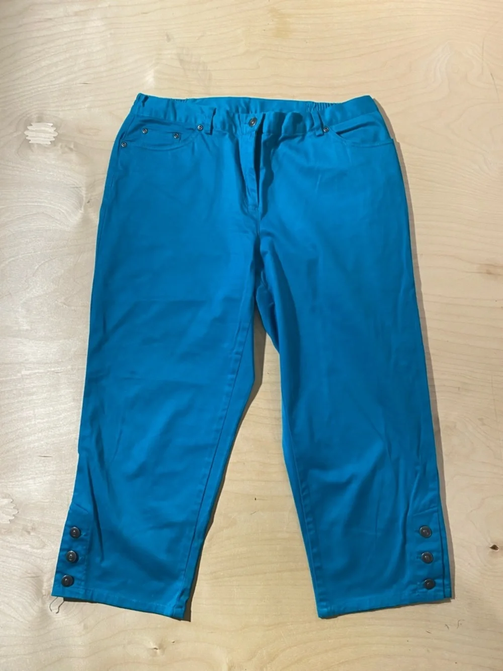 Ruby Rd. Teal Petite Pants 12P (QZ)